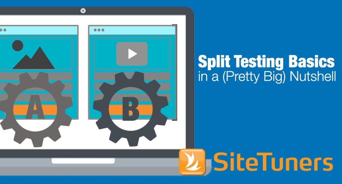 Split Testing Basics In A (Pretty Big) Nutshell - SiteTuners