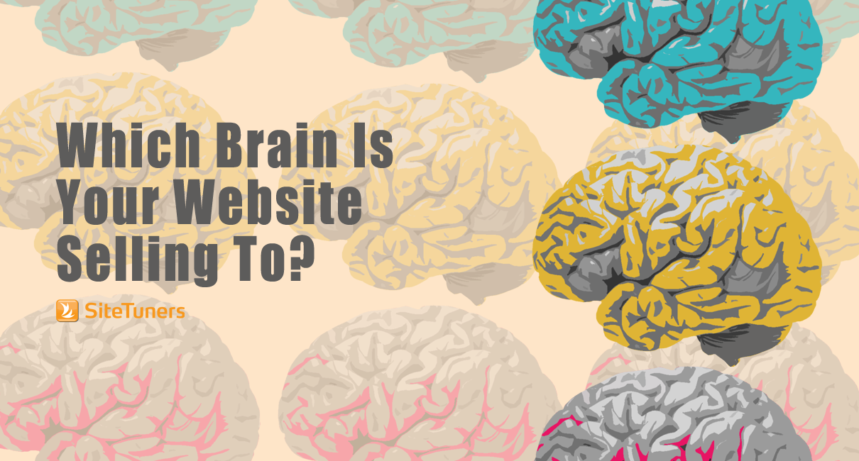 Which brain is your website selling to?